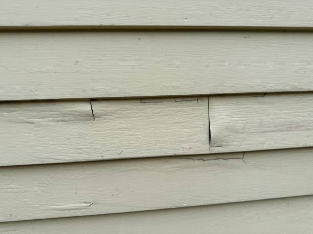 Best Siding for New Construction  in Camp Verde, AZ